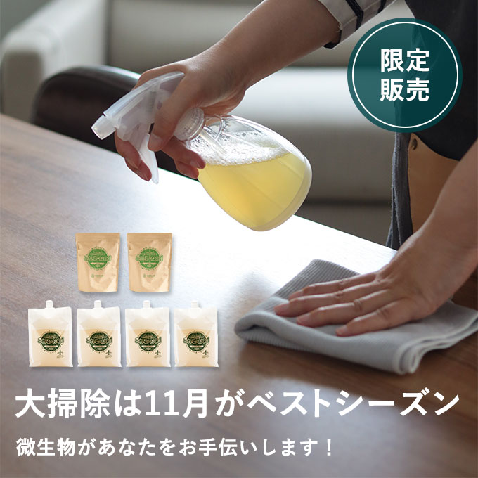 とれるNO.1小人が手伝う大掃除セット