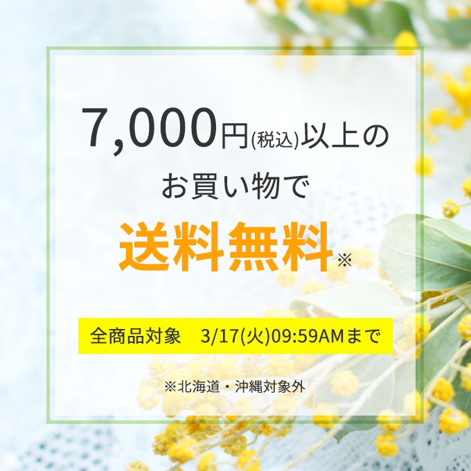 7,000円以上のお買い物で送料無料