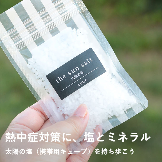 塩キューブ