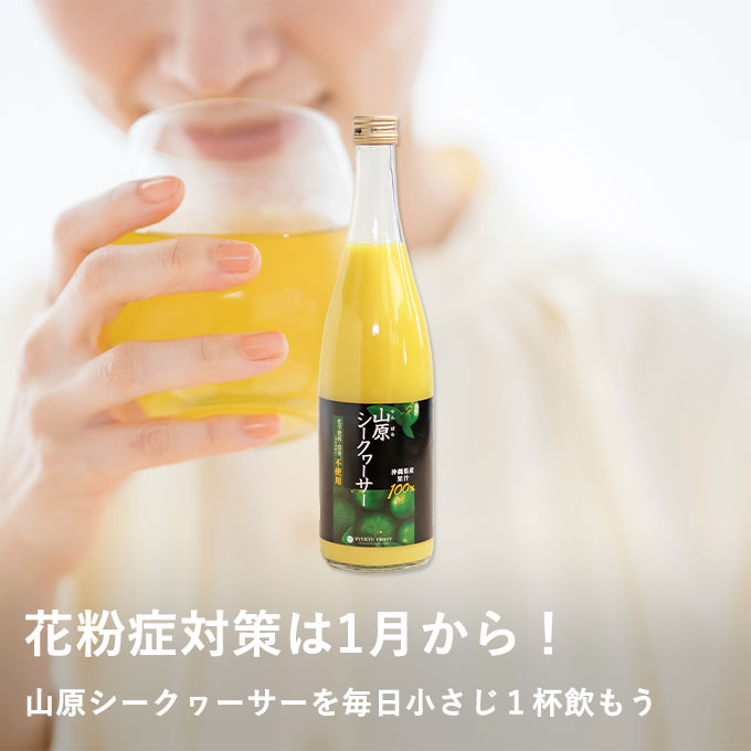 シークヮーサー