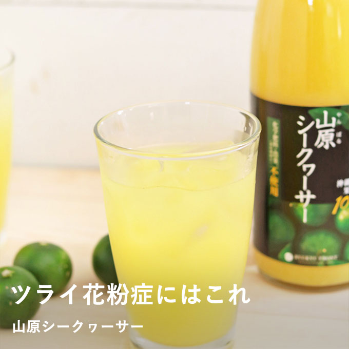 シークヮーサー