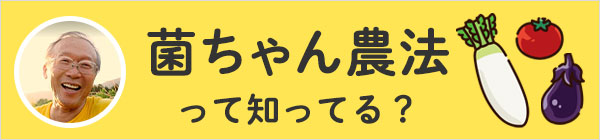 菌ちゃん先生から学ぶ野菜作りと食改善