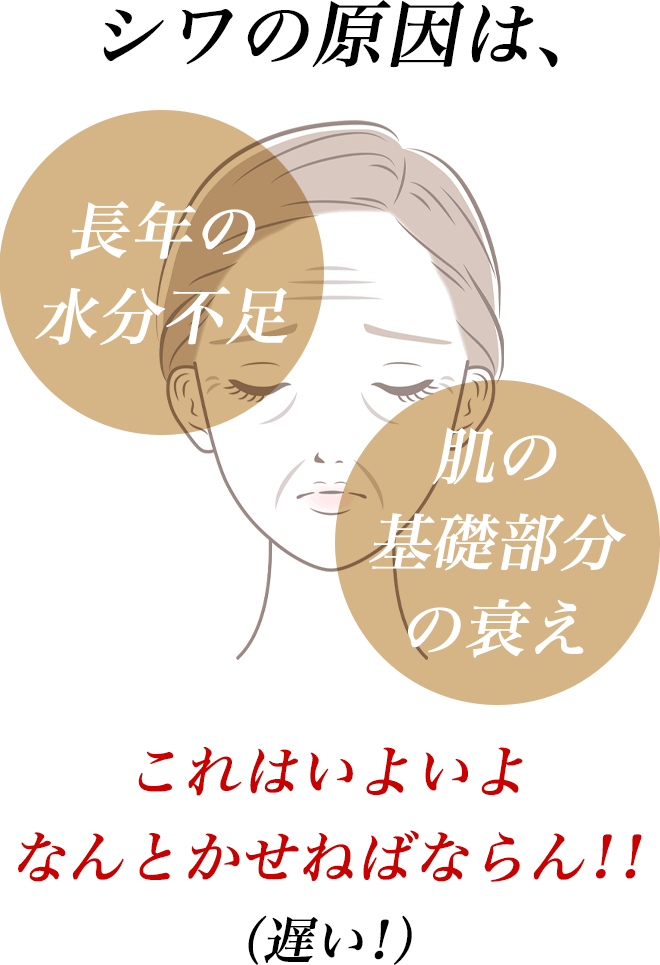 シワの原因は、
        長年の水分不足　＋　肌の基礎部分の衰え。
        これはいよいよなんとかせねばならん！！（遅い！）