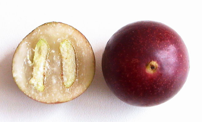 カムカムの果実