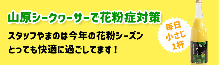 山原シークヮーサーで花粉症対策