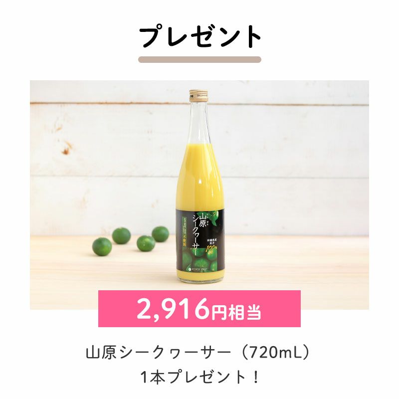 ＜プレゼント＞
		山原シークヮーサー(720ml)×1（2,916円相当）