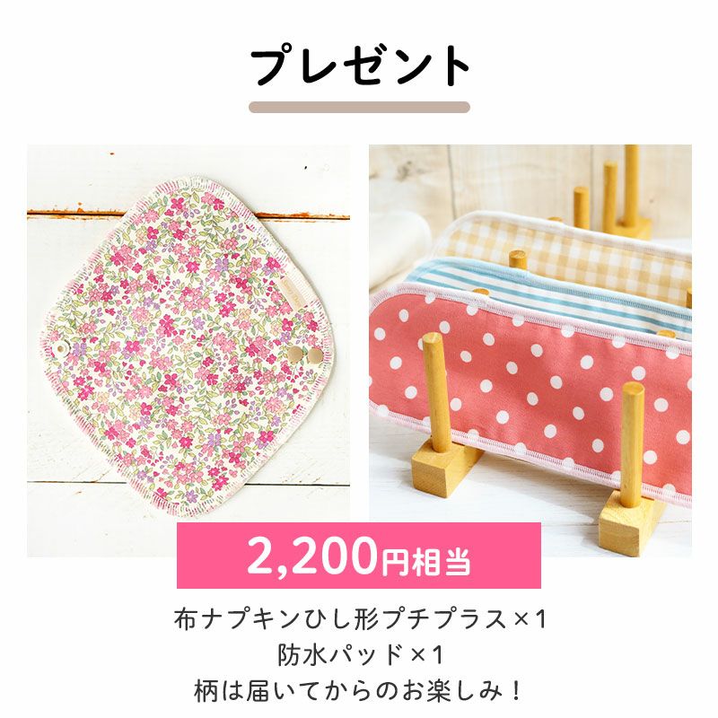 布ナプキン【おりもの・軽い日用・防水タイプ】ひし形プチプラス×1、防水パッド×1(2,200円相当)