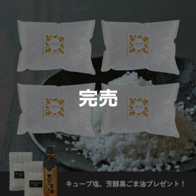 太陽の塩ストックセット